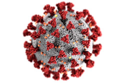 coronavirus